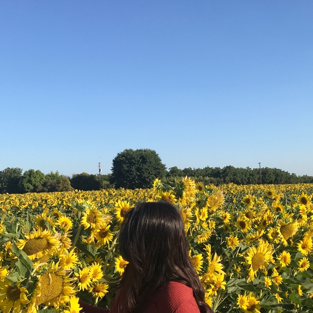 Meet your Posher, Stephany